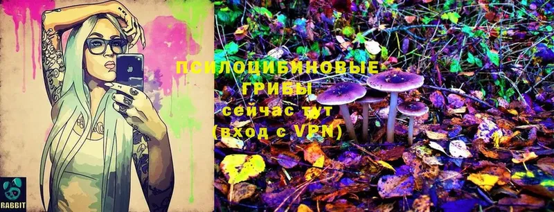 Галлюциногенные грибы Magic Shrooms  где купить наркотик  Дедовск 